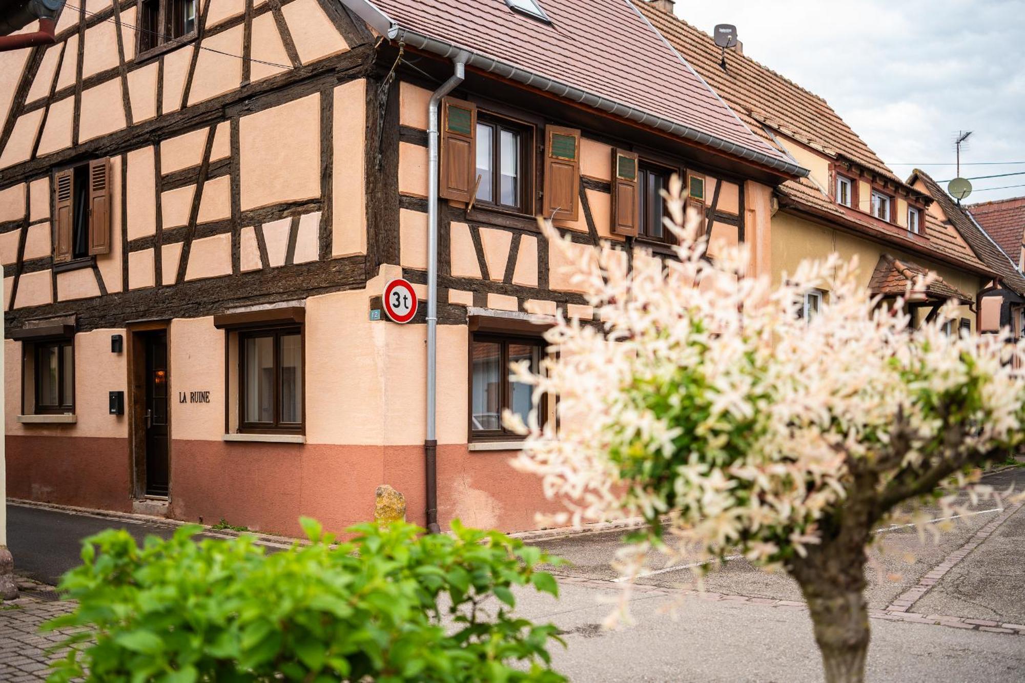 La Ruine - Gite D'Alsace Jusqu'A 10 Personnes Avec Spa Interieur Guemar Ngoại thất bức ảnh